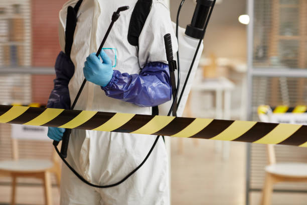 Professional Biohazard technician working in Ithaca, MI